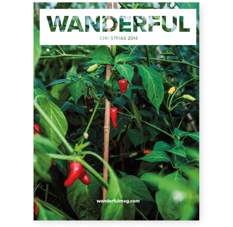 wanderful-02